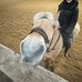Nadia Hansen - Facebook
