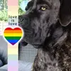 nadiahansen715 - @nadiahansen715 - TikTok