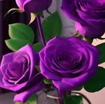 Nadia Hayek - Facebook