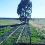 Abdultawab - @nadia_helmi - Instagram