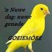 Nadia Henning - Facebook