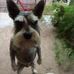 Nadia Herman - Facebook