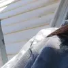 No one - @nadia.house3 - TikTok