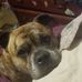 Nadia Huffnagle - Facebook