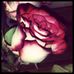 Nadia Huffman - Facebook