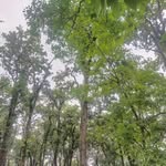 Nadia_ kauser - @nadia_imam___ - Instagram