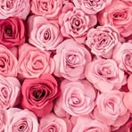 Nadia Issa - Facebook