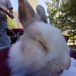каплан - @nadiakaplan67 - Instagram