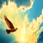 Nadia Karaban - Facebook