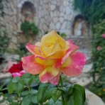 Nadia Kash - Facebook