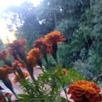 Chhetri Nita - Facebook
