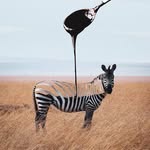 @nadi_akitchen - Instagram
