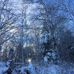 Nadia Lambert - @nadia.lambert.56 - Instagram
