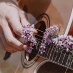 Nadia Lambert - @n.a.n.u.67 - Instagram
