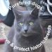 Nadia Lambert - Facebook