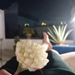 Nadia NL - @nadia_land_nl - Instagram