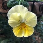 نادية - @nadia_letsgarden - Instagram