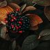 Nadia Master - Facebook