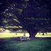 Nadia McDowell - Facebook