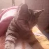 Nadia Mcgee - @nazimcgee - TikTok