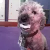 Nadia Medrano - @nadiamedrano22 - TikTok
