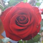 Nadia Miles - @nadiafayemiles - Instagram