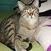 Luis Fernando Vargas Monreal - Facebook
