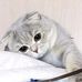 Nadia Monreal - Facebook