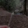 nadiamonreal785 - @smdbitch160 - TikTok