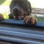 Nadia Monzon - Facebook