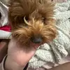 Nadia morris - @nadia.morris6 - TikTok