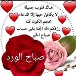 Nadia Moussa - @nadia.moussa.75839 - Instagram