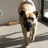 Nadia - @nadia_osorio2 - TikTok