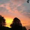 Nadia pedersen - @nadi4860 - TikTok