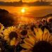 Nadia Phillips - Facebook
