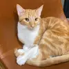 nadiapike - @murraysrescue - TikTok