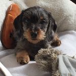 Nadia Raymond-Ahfir - @raymondahfir - Instagram
