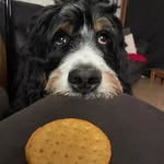 Nadine Ritchie - @nadineritchie35 - Instagram