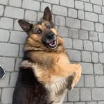 Nadia_Salvi - @salvadores.123 - Instagram