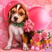 Nadya Schuster - Facebook