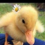 nadia - @nadia.tayeb.97 - Instagram