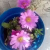 Nadia Sanchez Tenorio - @nadia.sanchez.ten - TikTok