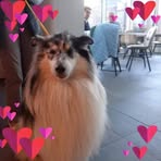Nadia Vanneste - Facebook