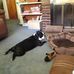 Nadia Wilcox - Facebook
