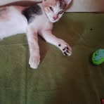 Nadin Ibrahim - Facebook