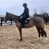 N🐎👸🏼⚜️🖤 - @nadine_bailey5 - TikTok