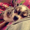 Nadine Bailey  - @frankie3208559 - TikTok