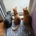 Nadine Baker - Facebook