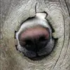 nadinebean - @nadinebean009 - TikTok