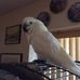 Nadine Cooley - Facebook